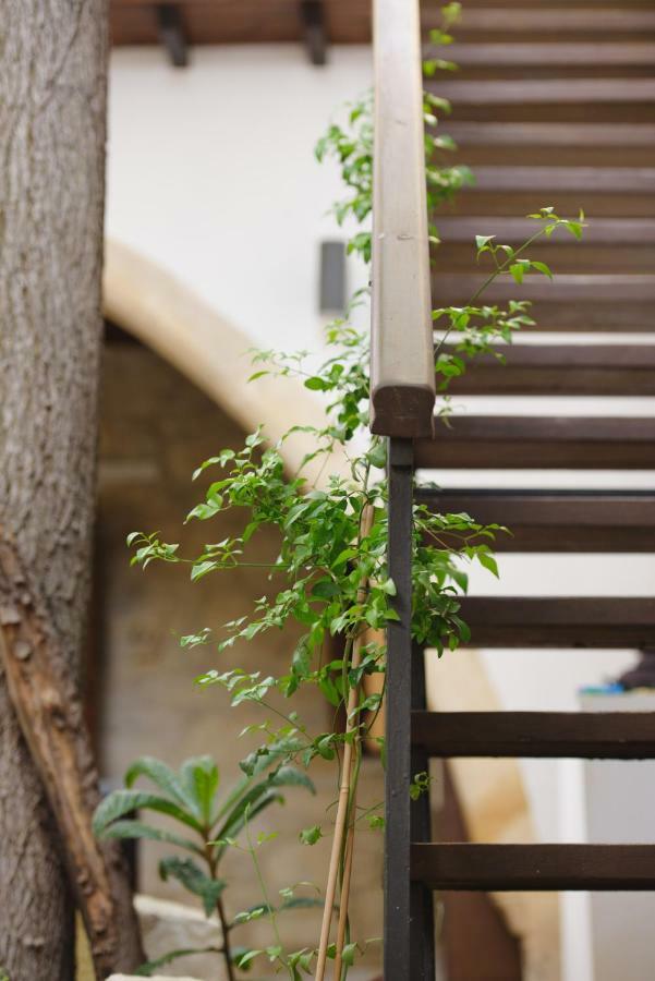 Serenity Boutique House Vouni エクステリア 写真